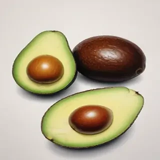 avocado drawing