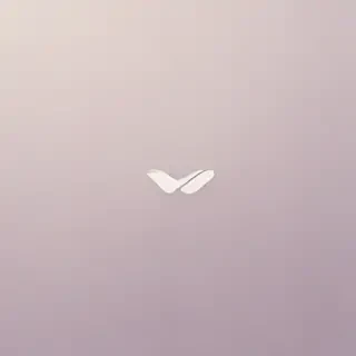 minimal aesthetic wallpaper