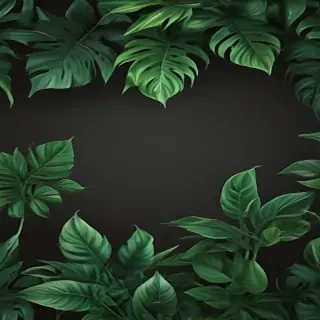 plant desktop wallpaper