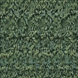 sage green images