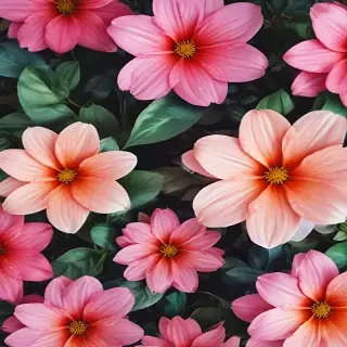 iphone wallpaper flower background