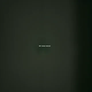 dark green backround