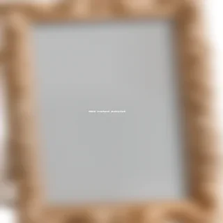 transparent picture frames png