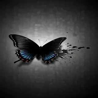 black butterfly wallpaper hd
