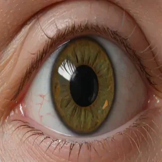 png eyeball