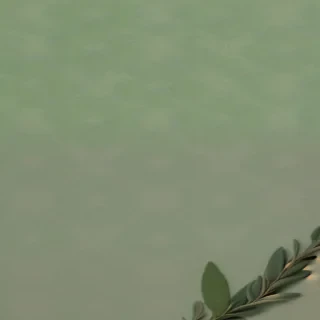 wallpaper aesthetic sage green