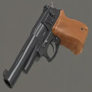png gun
