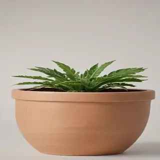pot png