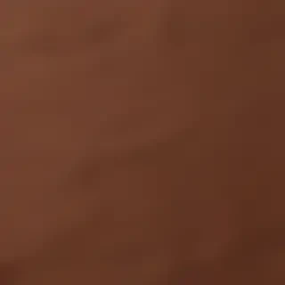 brown ig highlight cover