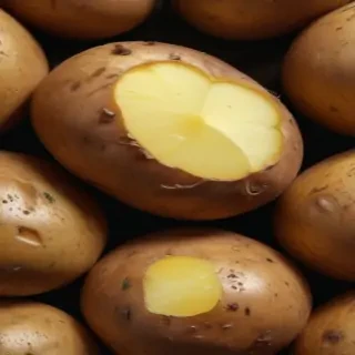 potato png