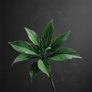 plant iphone wallpaper