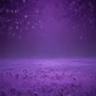 cute purple background