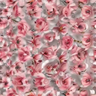 flower background transparent