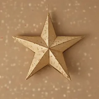 xmas star pictures