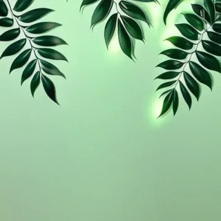light green aesthetic wallpaper