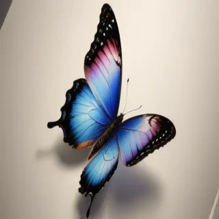 butterflies sketches