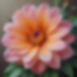 flower drawings with color