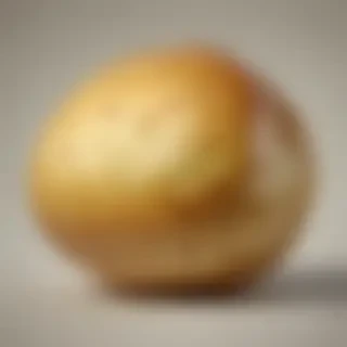 potato transparent background