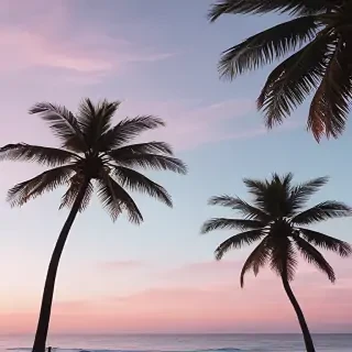 aesthetic beachy backgrounds