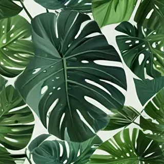 aesthetic monstera wallpaper
