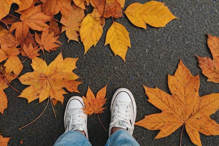 fall leaves aesthetic