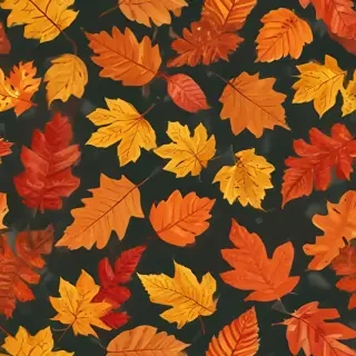 fall leaf png