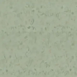 sage green backround