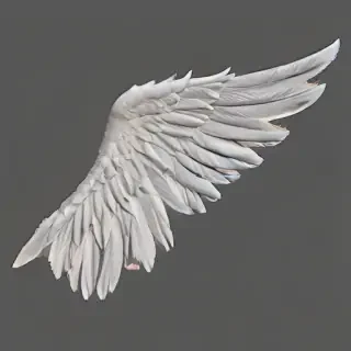angle wings png