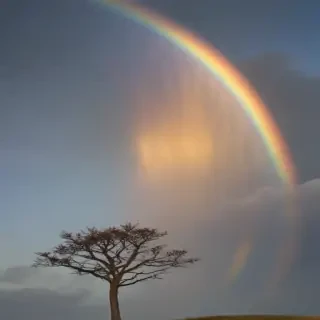 transparent rainbow