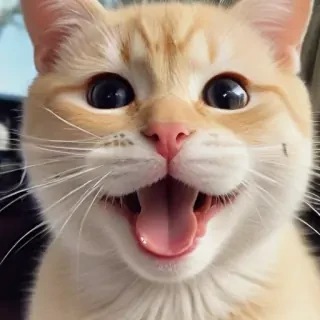 happy face