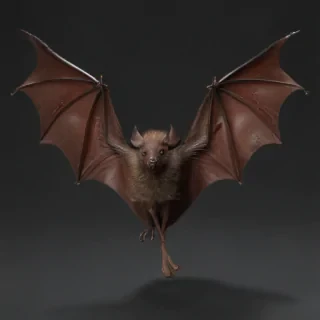 bat png