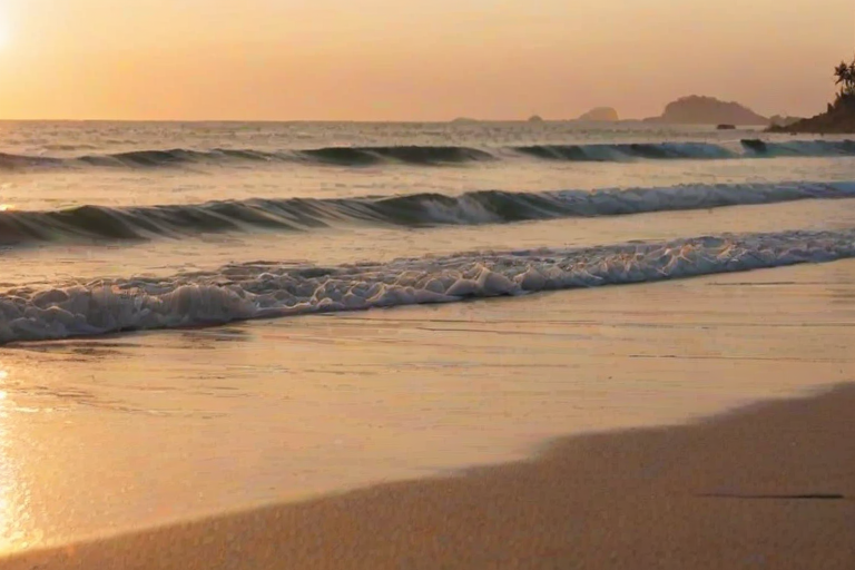 Soft-focus image of a beach at sunset, waves gently lapping at the shore, with soft golden light reflecting off the sand and distant palm trees swaying in the evening breeze.