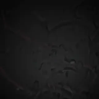 black wallpaper 4k phone