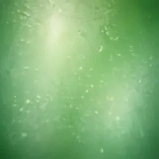 light green background plain