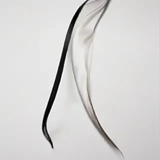 curved line png
