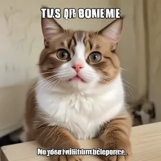 meme pictures