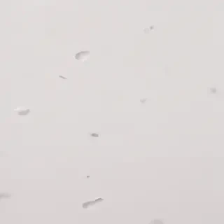 cute white background