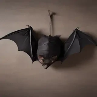 halloween bat pictures