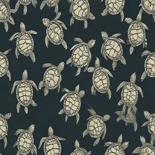 turtle background