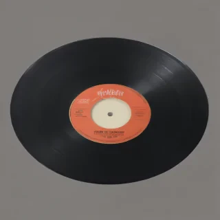 vynil record png