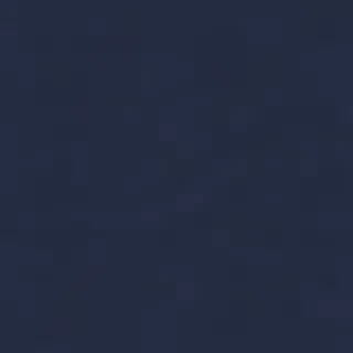 navy blue bg