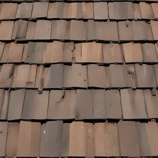 picture of shingles