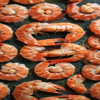 shrimp png