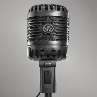 microphone .png