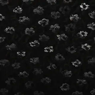 wallpapers black aesthetic