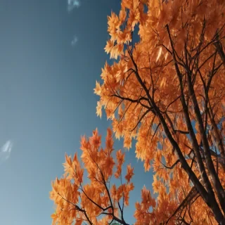 iphone backgrounds fall