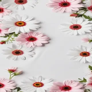 white background with flowers