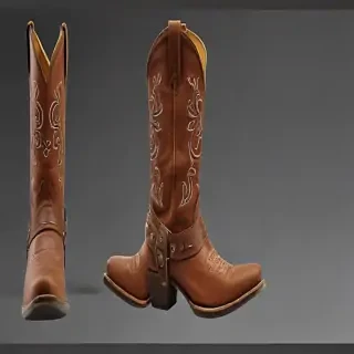 cowgirl boots png
