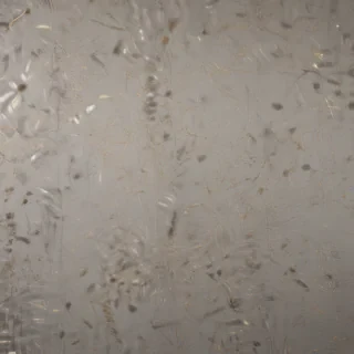scratch png