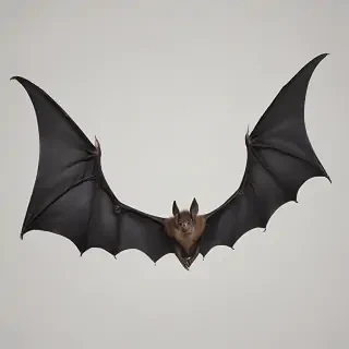 bat wings png